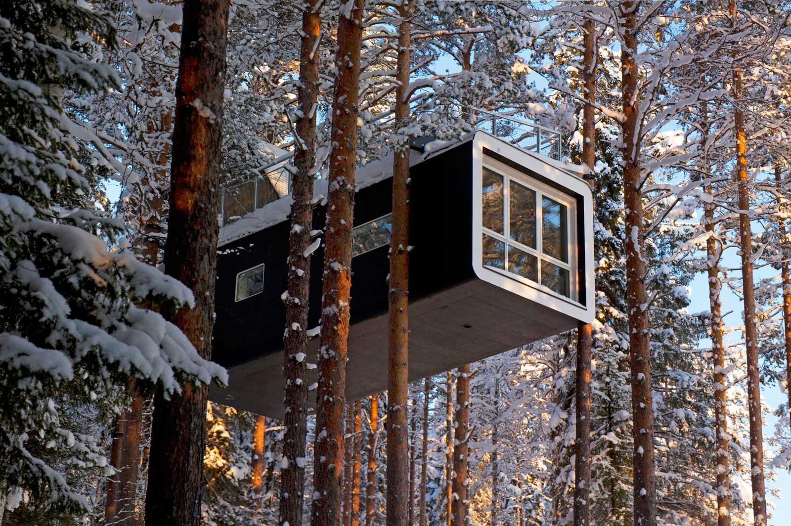 Cabine aménagée dans les arbres en Suède, destination de l'agence de voyage Continents Insolites