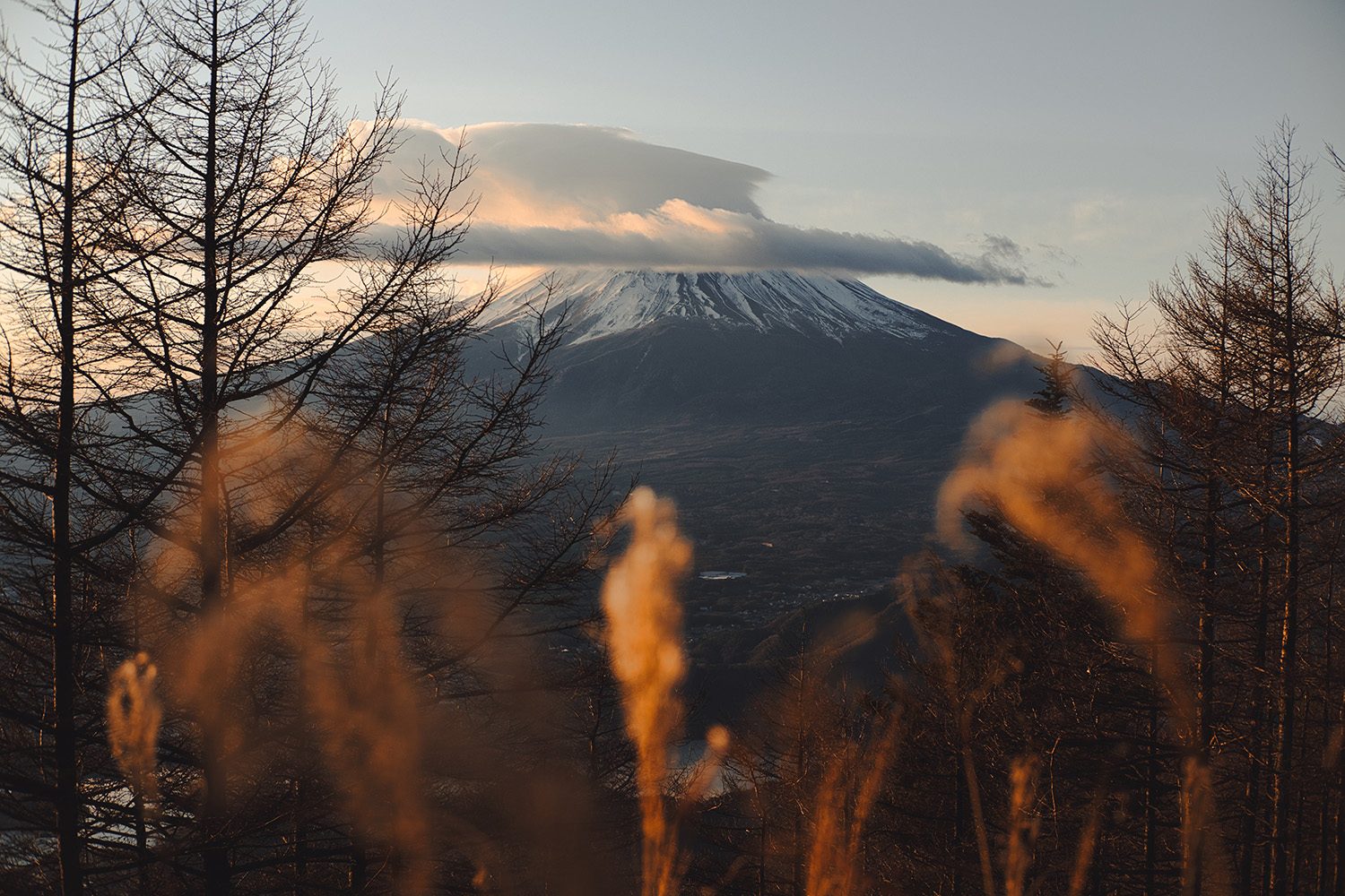 Japon