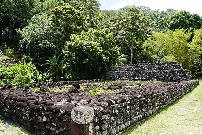 Culture Maorie