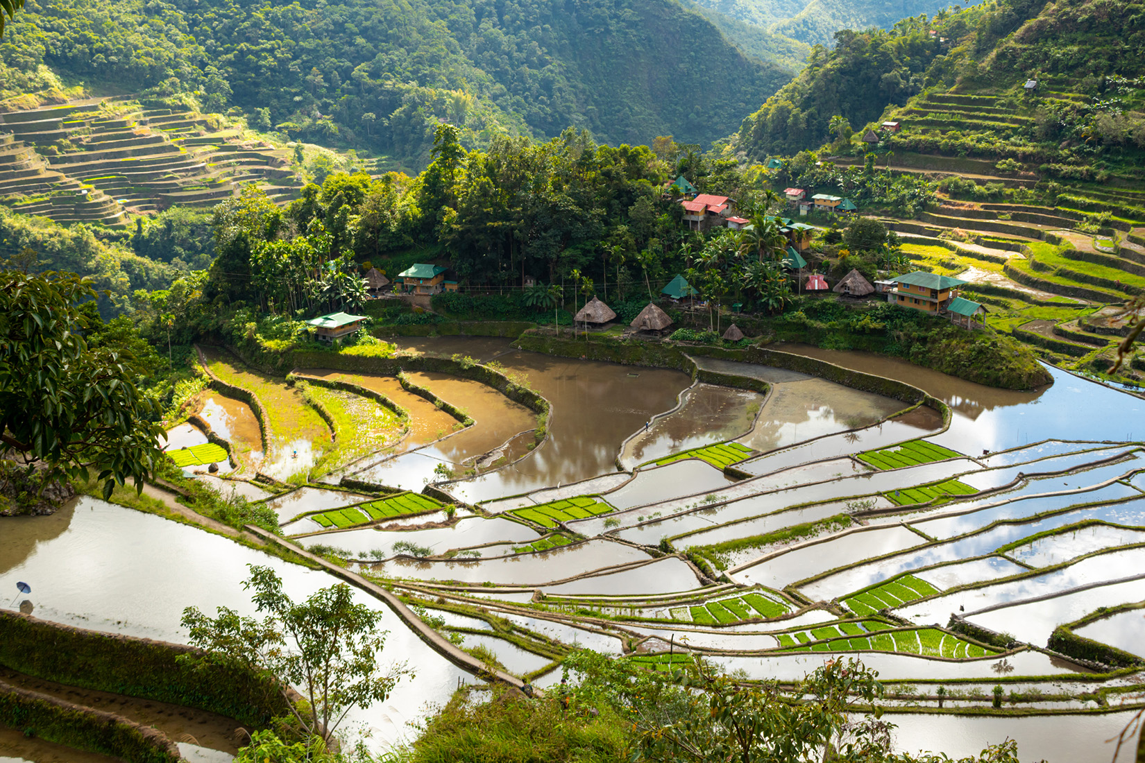 Philippine