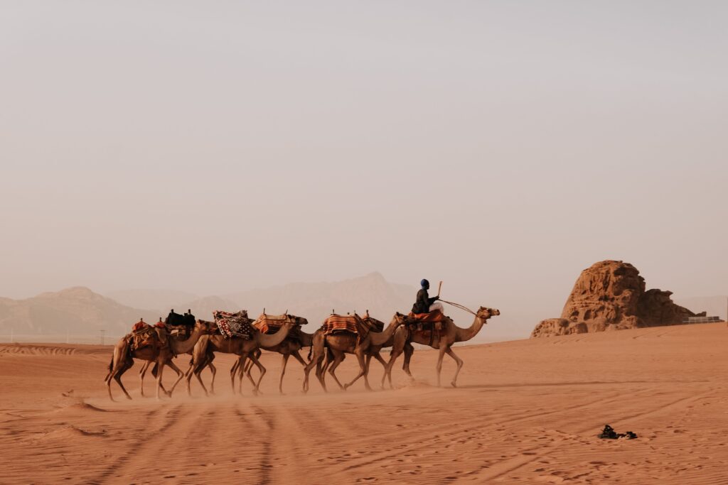Ce qu'il faut savoir avant de partir en Jordanie