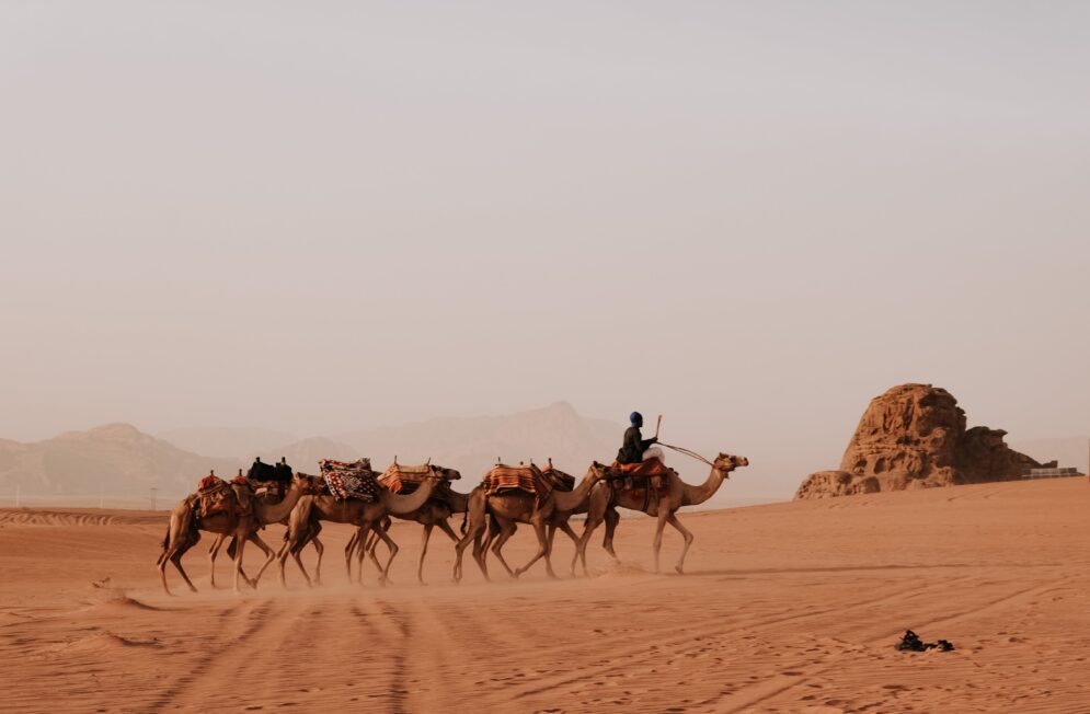 Nos experts de la Jordanie