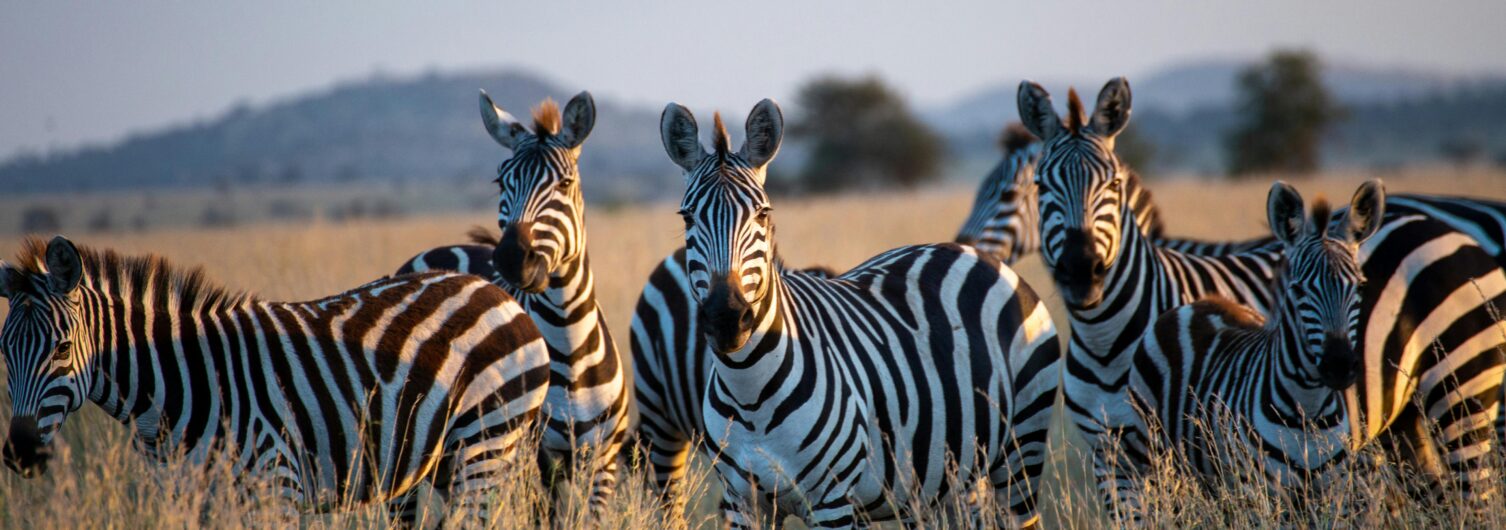 Retour de voyage dans le sud de la Tanzanie