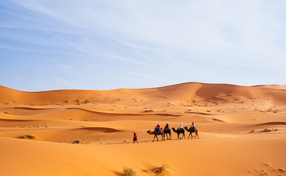 Randonnée à dos de dromadaire dans le désert, Maroc