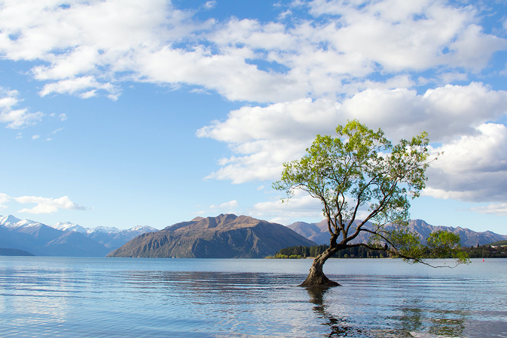 Voyage Nouvelle-Zélande sur mesure. Lac Wanaka, Nouvelle-Zélande