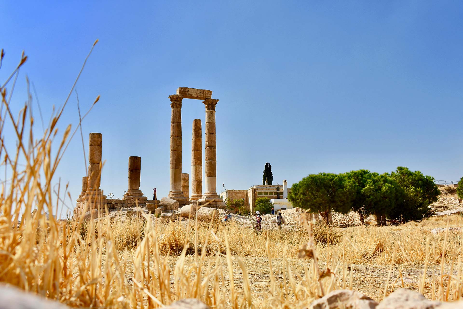 Chateau d'Amman, Jordanie