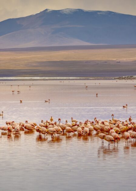 Voyage sur mesure en Bolivie avec Continents Insolites