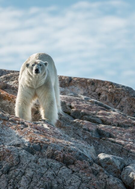 Voyage sur mesure au Svalbard avec Continents Insolites