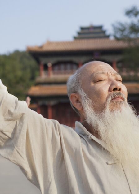 CHINE-Pepite-TaiChi-183702430