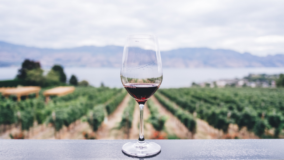 Dégustation de vins et expériences viticoles en Europe