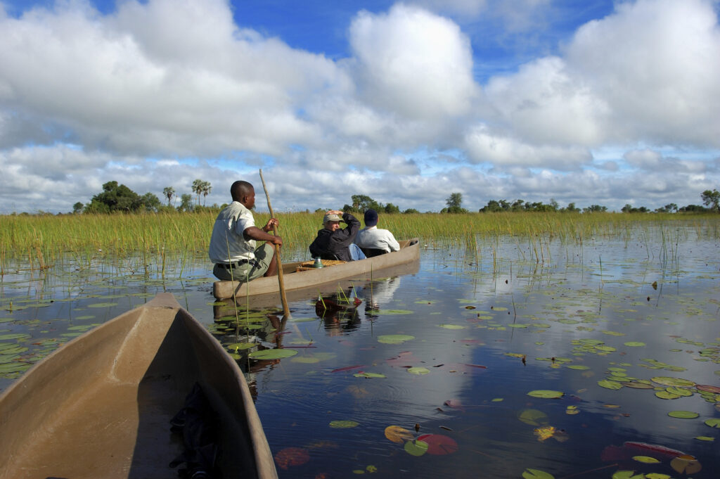 Voyage au Botswana : Nos expériences insolites