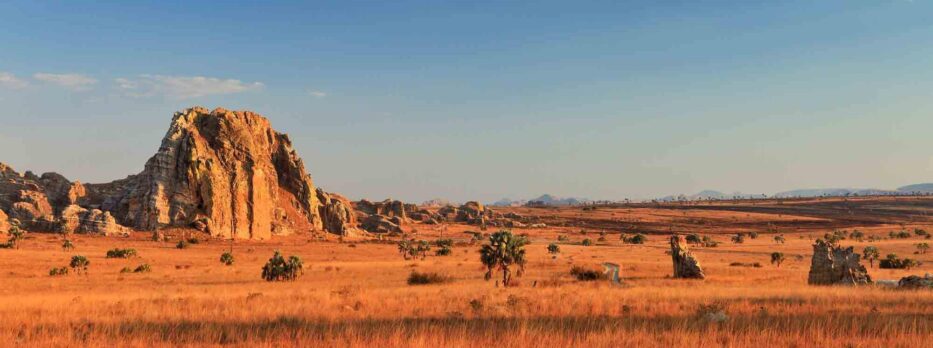 Nos 10 bonnes raisons de choisir Madagascar