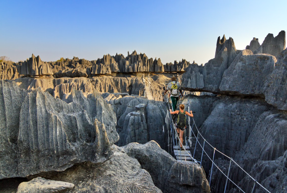 Nos 10 bonnes raisons de choisir Madagascar