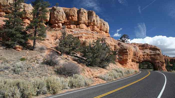 Sur la route : notre top 5 aux Etats-Unis
