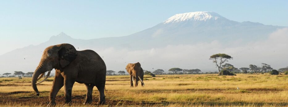 Voyages en petit groupe en Ouganda et au Kenya