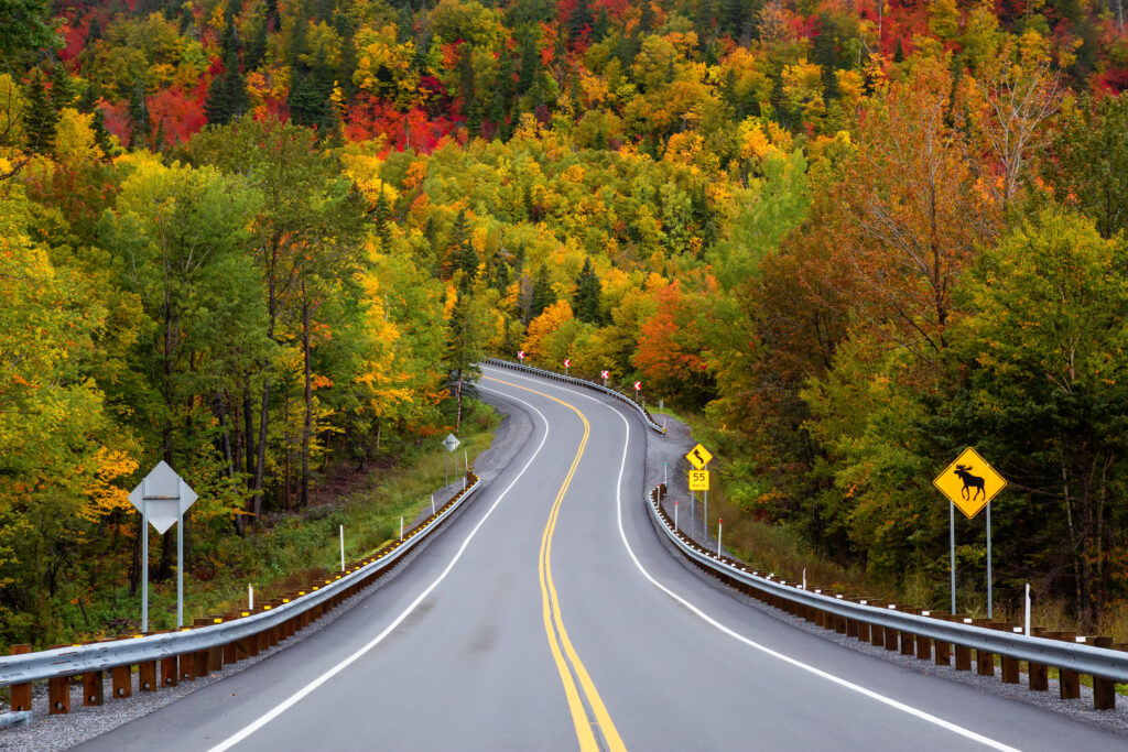 7 Road Trips d'exception