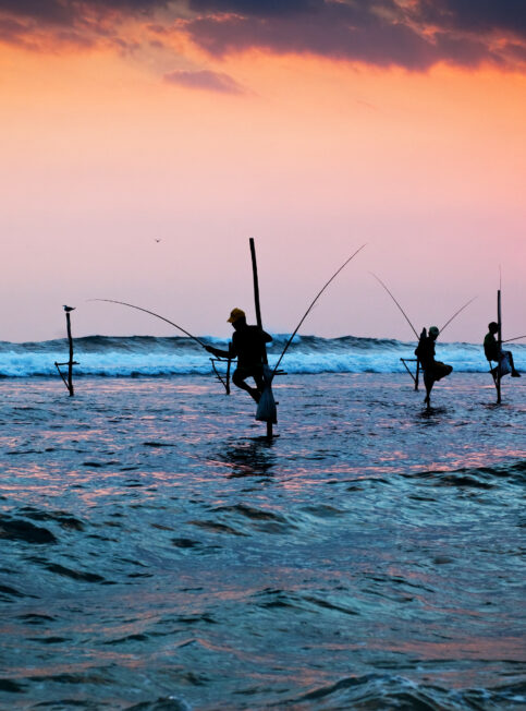 Nos experts au Sri Lanka