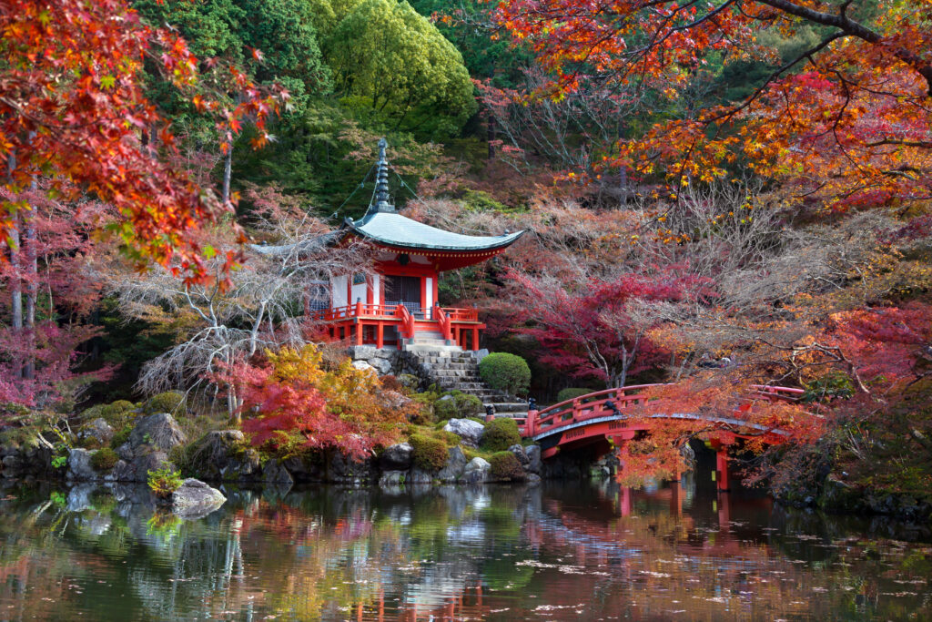 Voyage photo au Japon