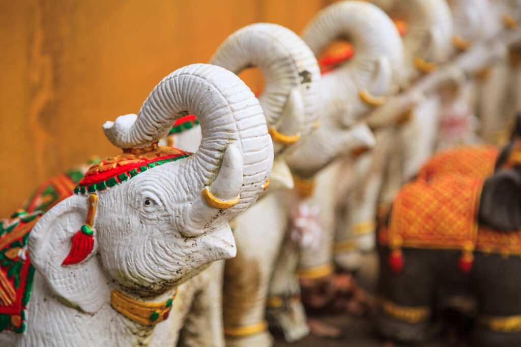 La fin du tourisme avec les éléphants en Asie