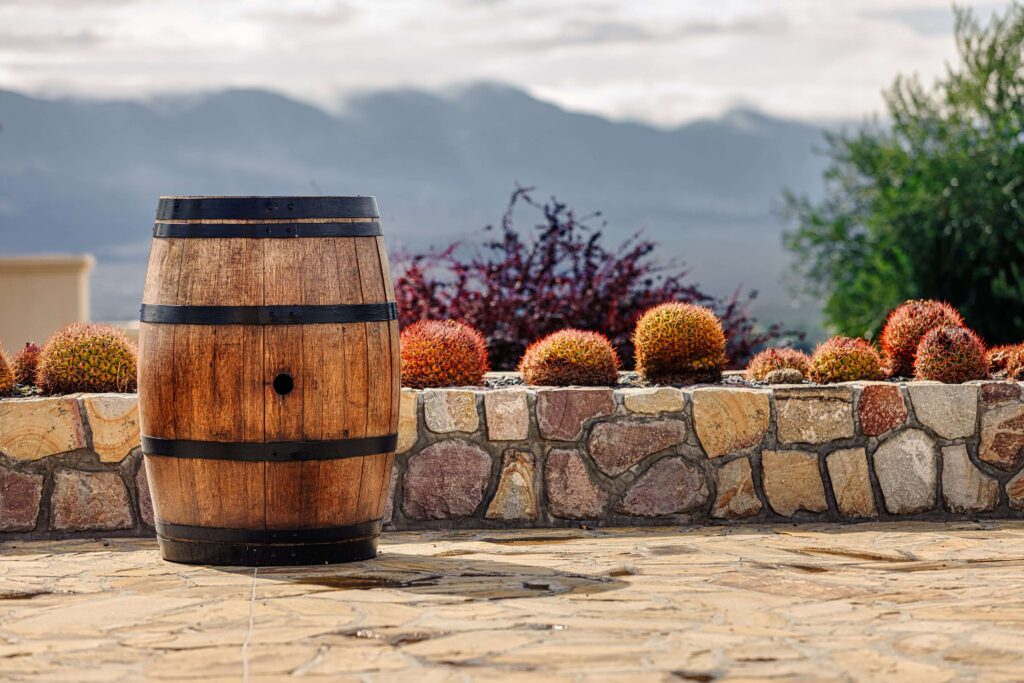 Nos meilleurs destinations pour les amateurs de vins