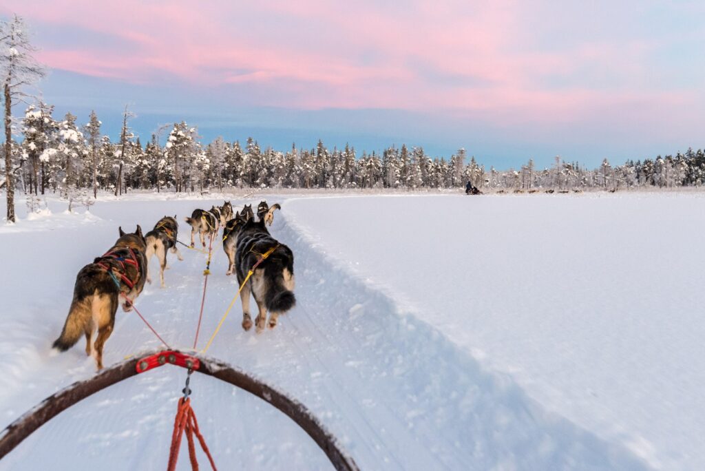 Village du Père Noël : alternative loin des foules de Rovaniemi