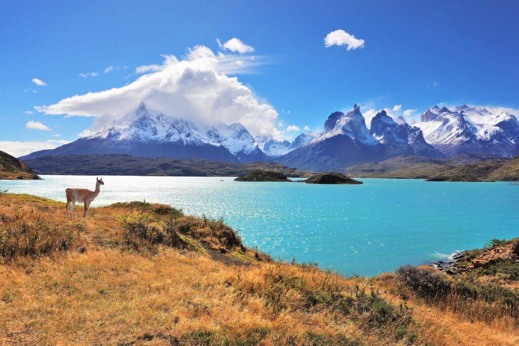 Voyage au Chili en petit groupe : Cordillère des Andes - Patagonie