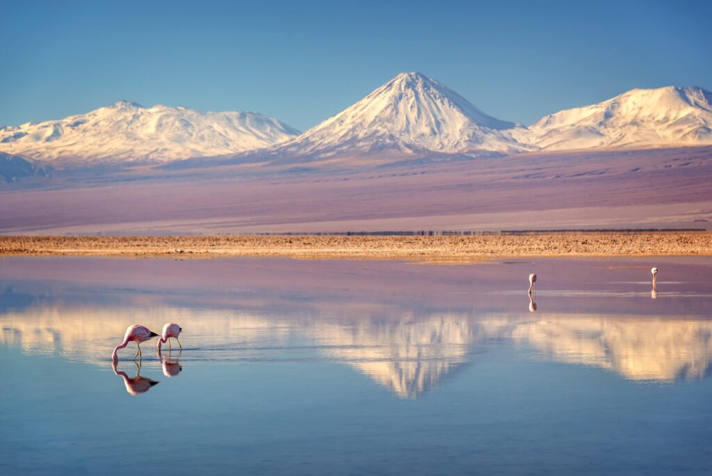 Voyage au Chili en petit groupe : Cordillère des Andes - Patagonie
