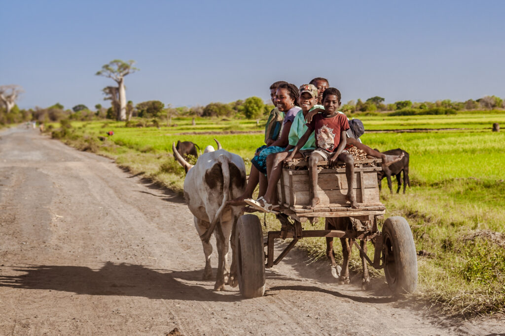YOUTH! Enfances de Madagascar