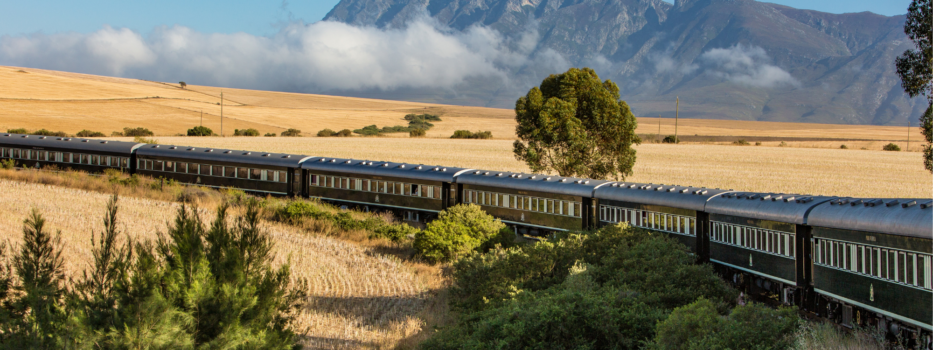 L'Afrique du Sud en train : du Cap à Pretoria à bord du Rovos Rail