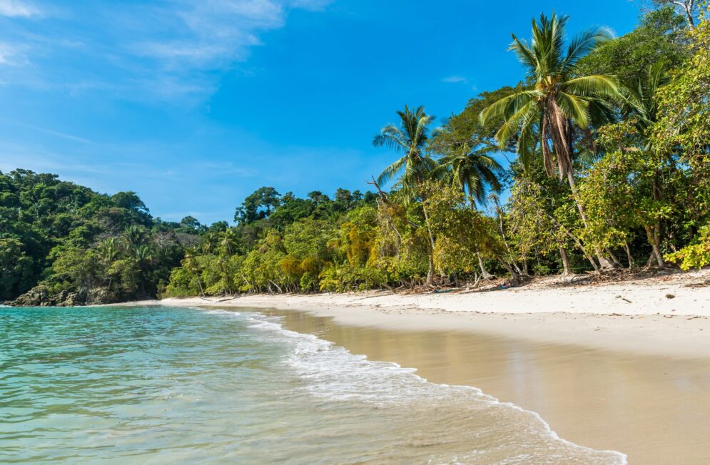 Nos experts du Costa Rica