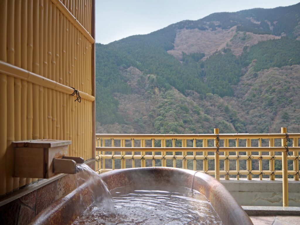 Les Ryokan au Japon : plongée dans l'hospitalité traditionnelle