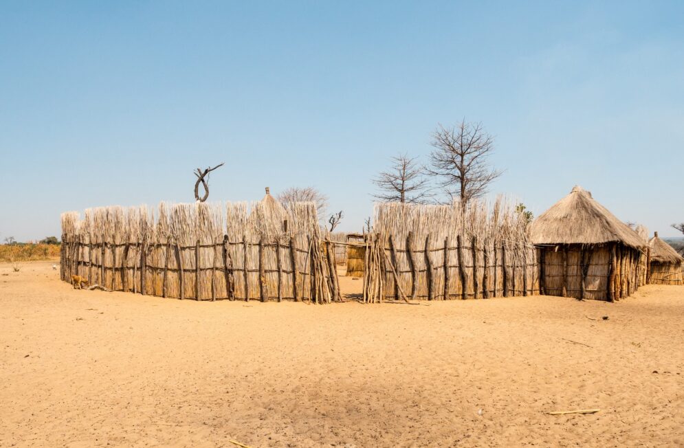 Nos experts de la Namibie