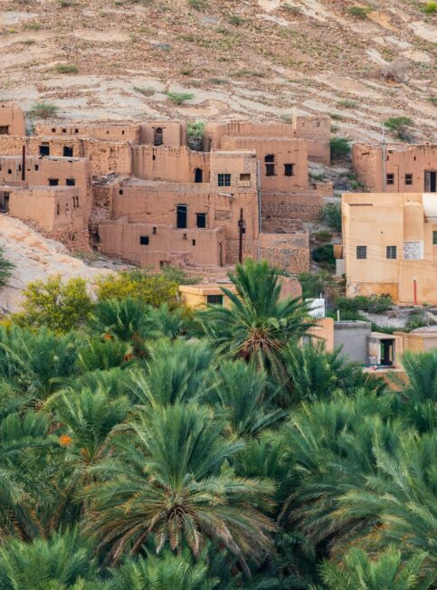 Nos experts de Oman