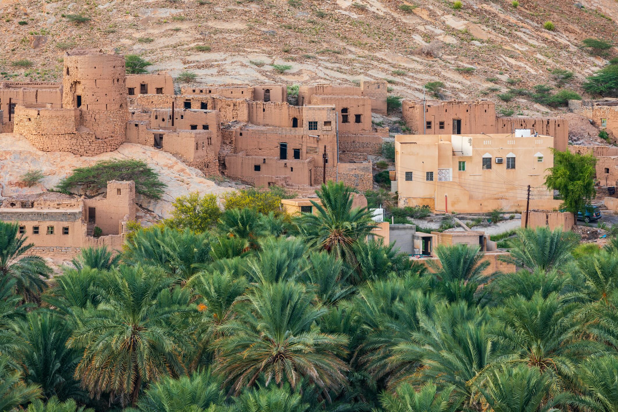 Nos experts de Oman