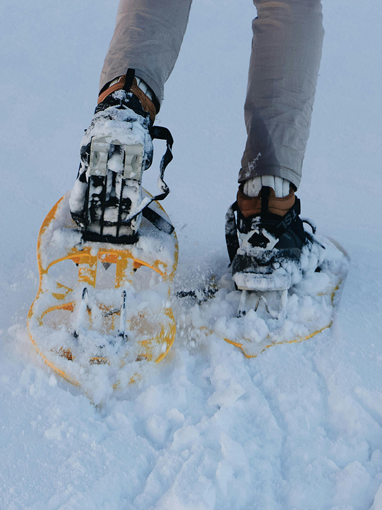 Hors piste en raquettes