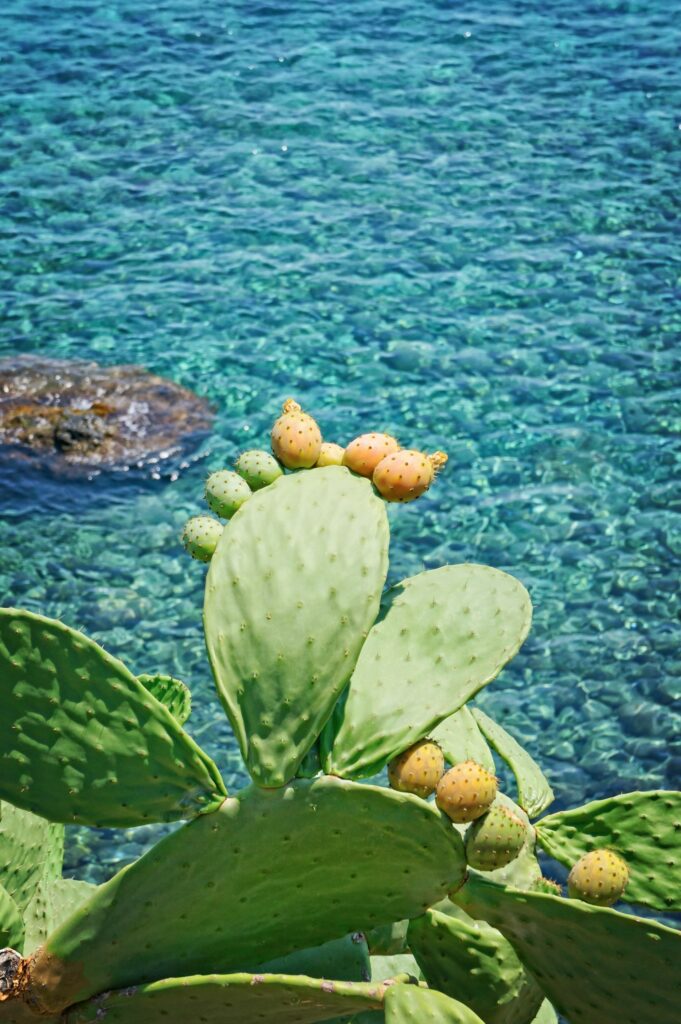 Ce qu'il faut savoir avant de partir en Sicile
