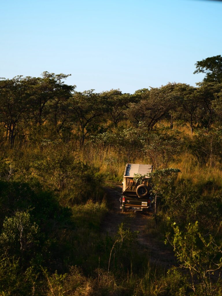 Ce qu'il faut savoir avant de partir au Zimbabwe