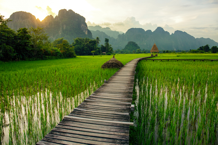 Coucher de soleil sur les rizières vertes et montagnes à Vang Vieng, Laos