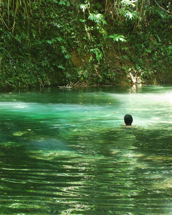 Baignade dans la réserve naturelle de Daintree en Australie