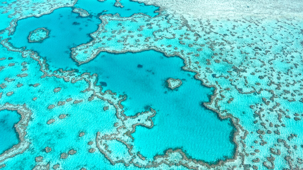 Voyage en Australie : 3 raisons d’y aller