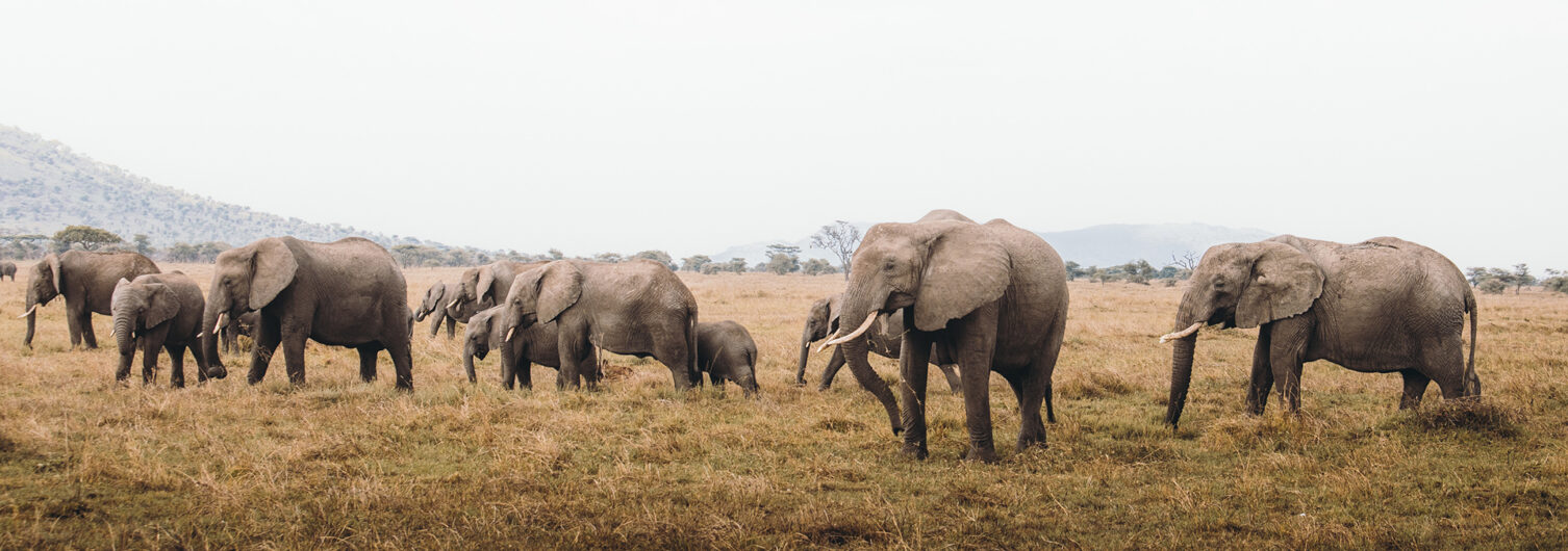 7 destinations au cœur de l’océan Indien
