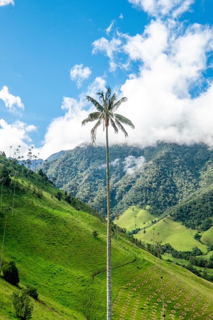 À la rencontre des locaux en Colombie
