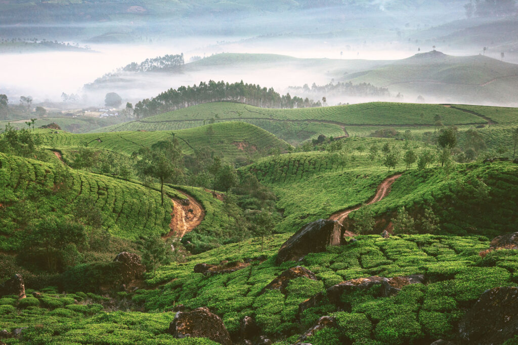 Inde