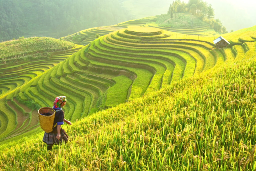 Laos