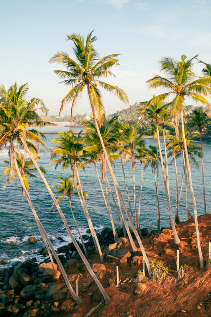 Où partir en novembre ? Nos 10 destinations préférées pour voyager au meilleur moment de l'année
