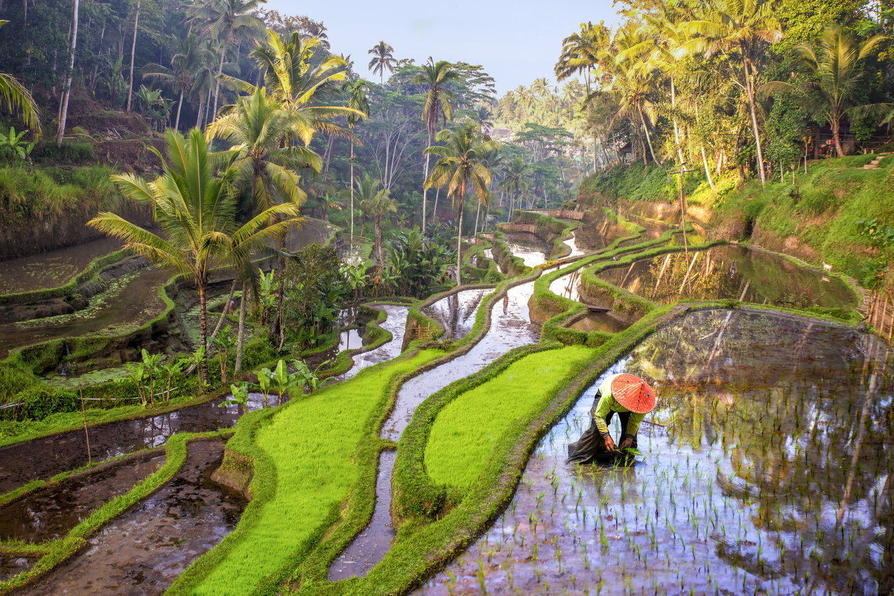 Route vers Pemuteran