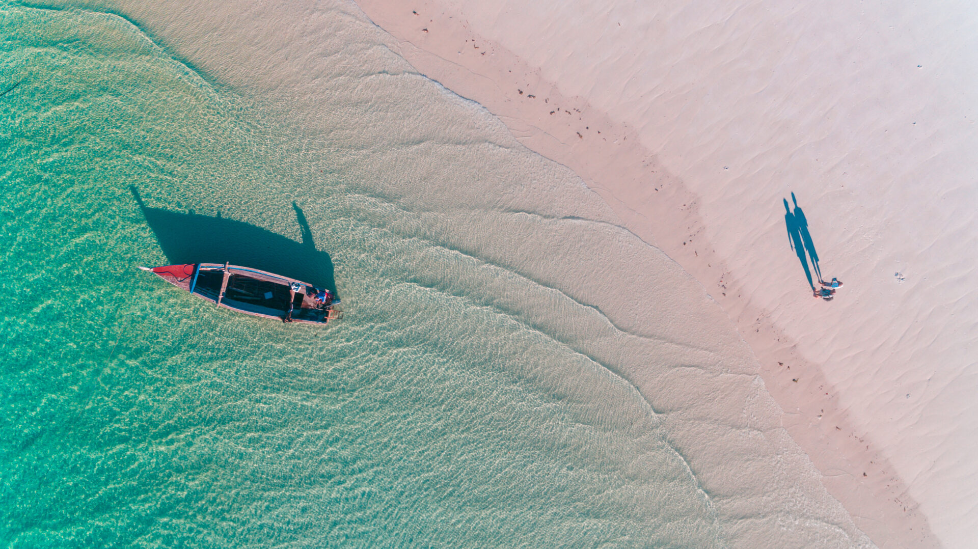 Réserve de Selous et Mafia Island
