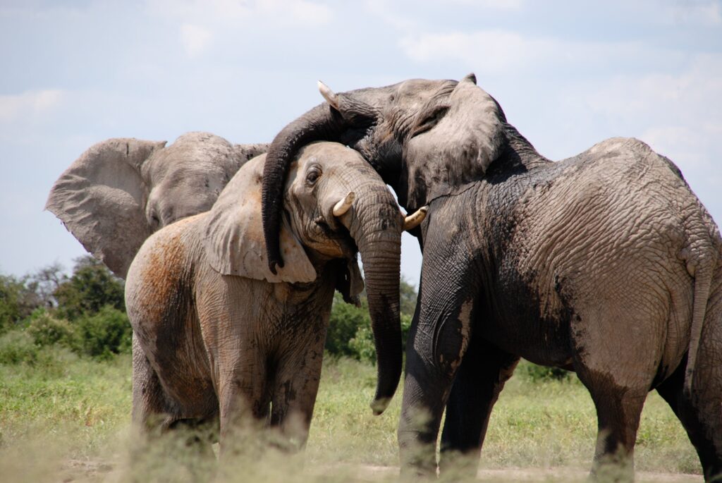 Botswana