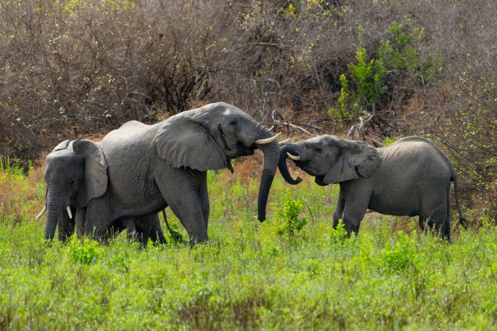 Retour de voyage dans le sud de la Tanzanie