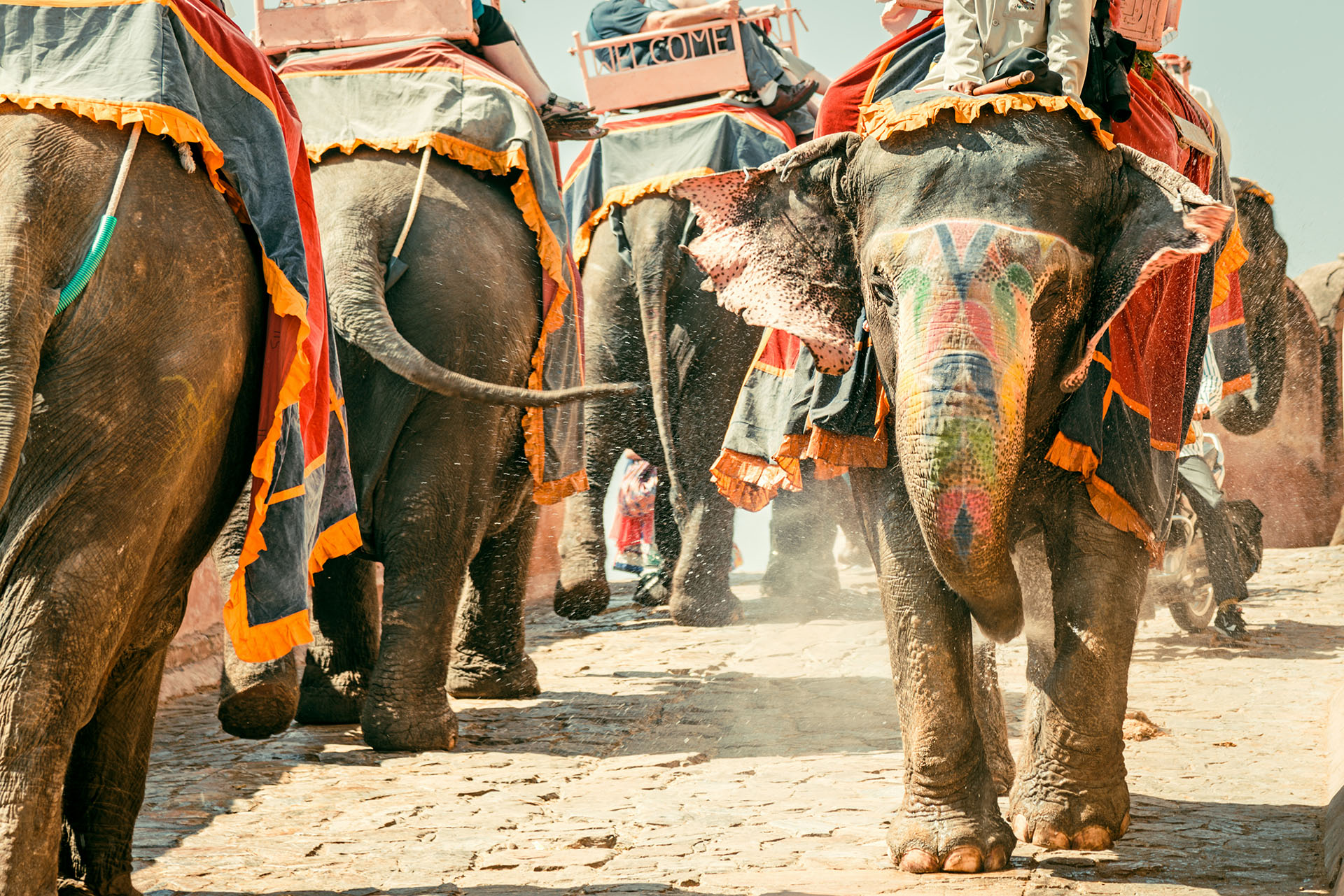 Visiter l'Inde avec des enfants